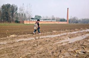 集資送禮 集資送禮