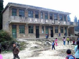 新陽國小 新陽國小