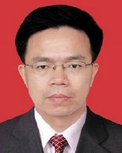 林志偉[廣東省揭陽市揭東區委常委、組織部長]