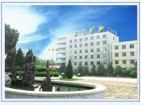 朝陽浪馬輪胎有限責任公司