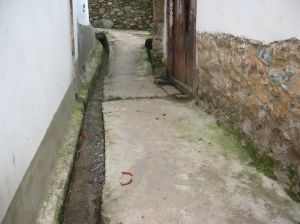 下柴壩自然村 下柴壩自然村