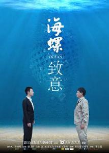 海螺致意 海螺致意