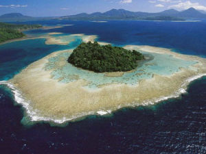 巴布亞灣 巴布亞灣