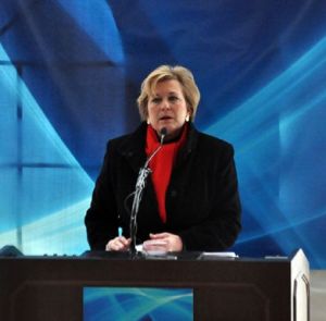 蘇珊&middot;福特