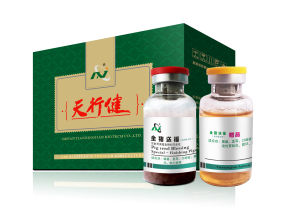 金豬送福 金豬送福