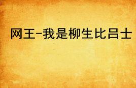 網王-我是柳生比呂士 網王-我是柳生比呂士