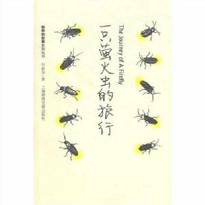 一隻螢火蟲的旅行 一隻螢火蟲的旅行