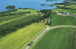 中國農業生態環境保護協會 中國農業生態環境保護協會