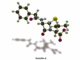 天然青黴素 天然青黴素
