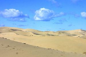 高原珍稀動物王國 可可西里 高原珍稀動物王國 可可西里