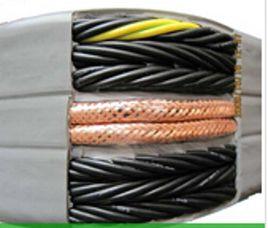 電梯電纜 電梯電纜