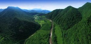 遼寧省森林資源