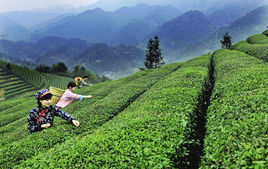 舟山市定海旅遊發展集團有限公司 舟山市定海旅遊發展集團有限公司