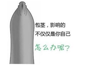 包皮包莖