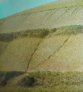 黃土溝谷地貌 黃土溝谷地貌