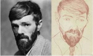 戴維·索爾加 戴維·索爾加