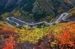 六盤山旅遊區 六盤山旅遊區