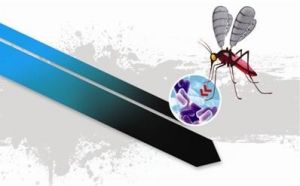 沃爾巴克氏菌 沃爾巴克氏菌