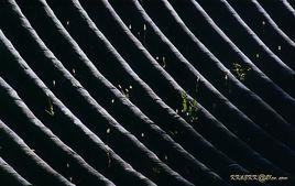 生生不息[漢語詞語]