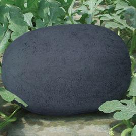 豫藝墨秀 豫藝墨秀