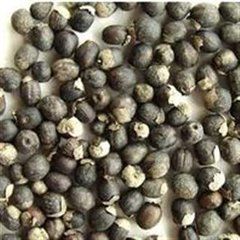 蔓荊實丸 蔓荊實丸