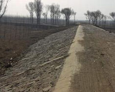 新蓋房分洪道 新蓋房分洪道