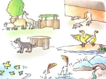 動物異常反應 動物異常反應