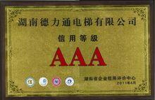 湖南德力通電梯有限公司