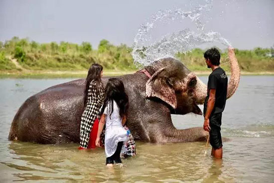 尼泊爾,雪山與古城之間的五個迷夢