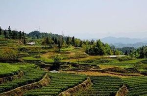 中國天然富硒食品城 中國天然富硒食品城