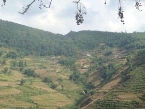 烏木蘭自然村 烏木蘭自然村