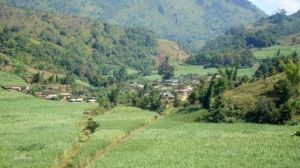 大芒關自然村 大芒關自然村