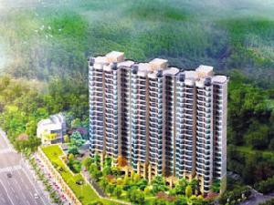 水緣金座 水緣金座