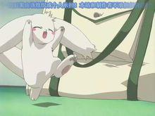 維茲[《天使怪盜》中人物]