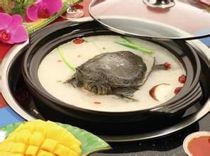 參麥燉水魚 參麥燉水魚