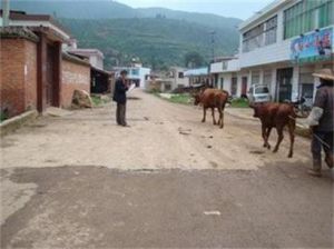 慶余屯村 慶余屯村