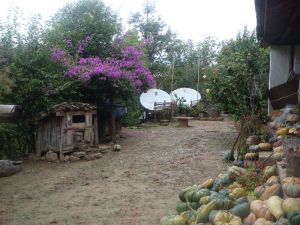 牛舌坪一村 牛舌坪一村