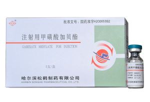注射用甲磺酸加貝酯 注射用甲磺酸加貝酯