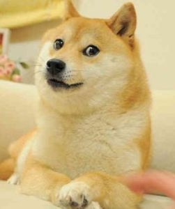 我給你學狗叫吧