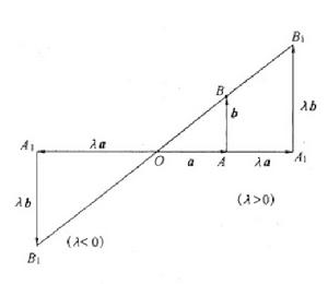 數乘向量 數乘向量