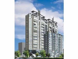 大舜天成青年會 大舜天成青年會