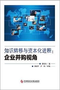知識轉移與資本化進程：企業併購視角