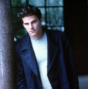 吸血鬼獵人巴菲[美國1997年莎拉&middot;米歇爾&middot;蓋拉主演電視劇]