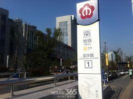 龍華路站 龍華路站