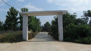 下中良自然村 下中良自然村