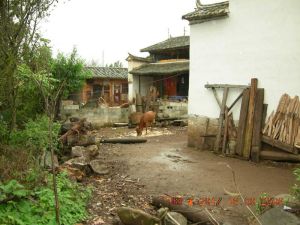 羊石子村 羊石子村