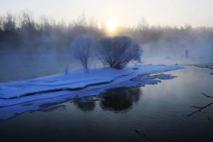庫爾濱河保護區 庫爾濱河保護區