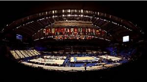 2011年東京世界體操錦標賽