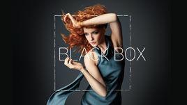 black box[2014年美國電視劇]