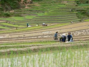 墳地坡自然村 墳地坡自然村